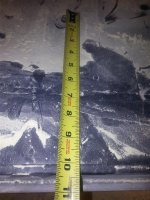 20150210_220053 (Medium).jpg