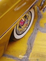 yellow brick road.jpg