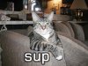 sup.jpg