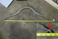 model a spring_007.JPG