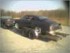 1951chevyrat2.jpg