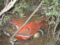 120_2037.JPG