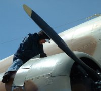 435939-K.Tepper_small.jpg