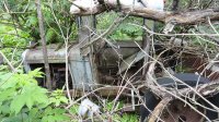 DSC09757.JPG