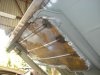 DSC07435a.jpg