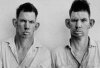 31024-hillbillies.jpg