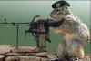 squirrelgun.jpg