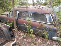 gus millers yard 10-3-16 176.jpg