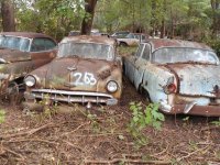 gus millers yard 10-3-16 036.jpg