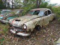 gus millers yard 10-3-16 081.jpg