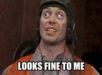 looks ok.jpg