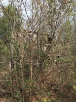 IMG_0479.JPG