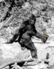 garagesasquatch.jpg