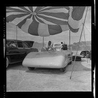 #990 Tommy Thompson Golden Rod (3).jpg