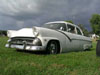 480935-in the grass 4.jpg