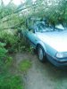 mazda & tree two.JPG