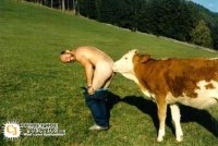 493754-488394-kiss%20my%20Butt.jpg