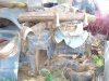 DSC00881a.jpg