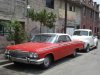DSC01480a.jpg