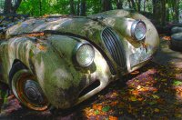 Jaguar XK HDR1.jpg