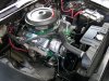 user5096_pic6933_1216521879.jpg
