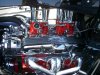 CIMG8607.JPG
