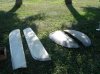 DSC02386.jpg