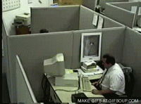 gif.gif