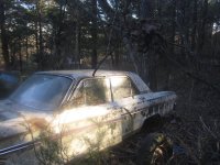setting & rotting 022.JPG
