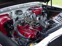 510028-Copy of DSC01474.JPG