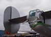Tail 1.jpg