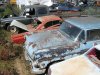 dogsandcars 012.jpg