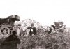 kansas rabbit hunting 1930c2.jpg