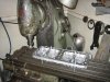 Flathead 012.jpg
