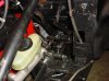 DSC02247.jpg