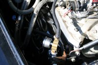 1949 Ford F1 016 (Medium).jpg