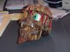 Skull.JPG