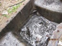 M farmall sludge 002.JPG