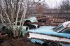 100_0091.jpg