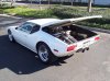 Pantera 029.jpg