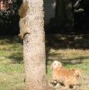 bitty and squirrel.jpg