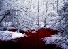 blood and frost.jpg