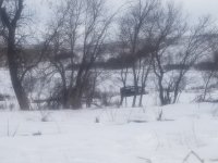 20190318_121657.jpg