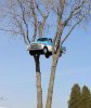 Tree truck.jpg