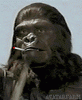 smokinape5yu.gif