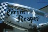 grim reaper.jpg