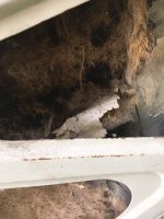 horse hair insulation.JPG