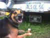 dad imports1 438.jpg