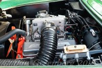 Swindelers 2019 OMD-1436.jpg