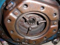 587724-PICT0487 (Medium).JPG